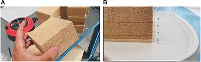 Fire Behaviour of Treated Insulation Fibreboards and Predictions of its Future Development Based on Natural Aging Simulation